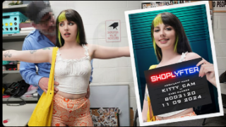 ShopLyfter – Kitty Cam – The Artist In Distress